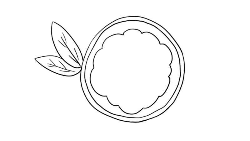 柚子简笔画彩色(柚子果肉的轮廓怎么画)