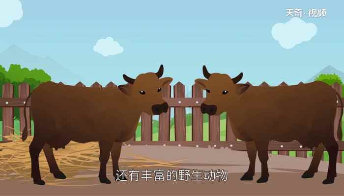 山东省莱西市属于哪个市(山东省莱西市是一个有着多个少数民族聚居的地方)