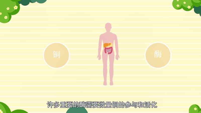 铜是稀有金属吗(铜是人类最早发现的金属)