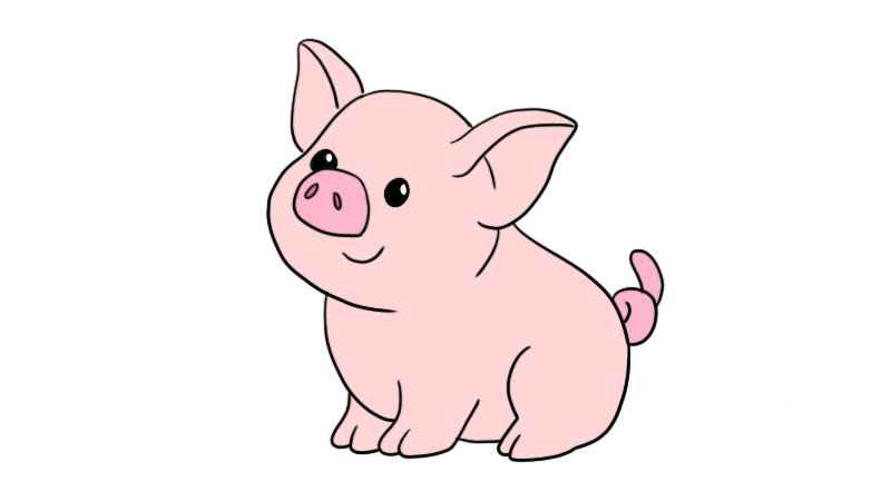 小猪怎么画 小猪简笔画