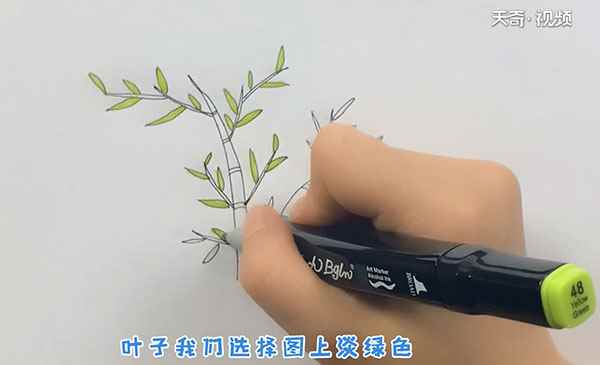 竹子的简笔画(竹子的简笔画简单又漂亮)