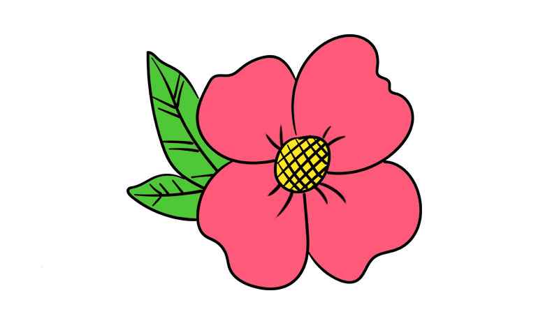 花简笔画(花的花蕊和两片花瓣的区别)