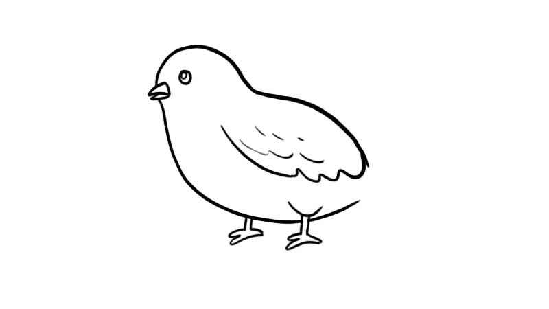 和平鸽简笔画(画出和平鸽的身体和嘴)