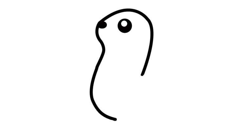 海豹简笔画步骤(海豹身上的脑袋和脖子线条)