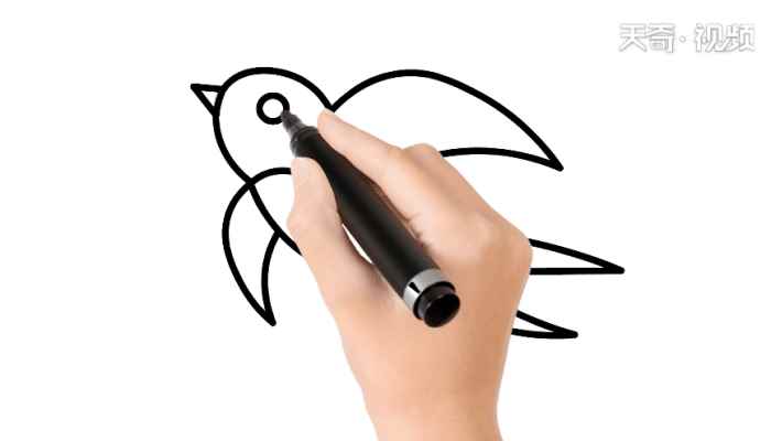 小燕子简笔画(画燕子的翅膀和尾巴有什么区别)