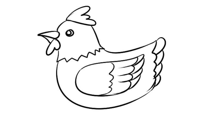 鸡的简笔画(画出鸡的鸡冠、眼睛和嘴巴)