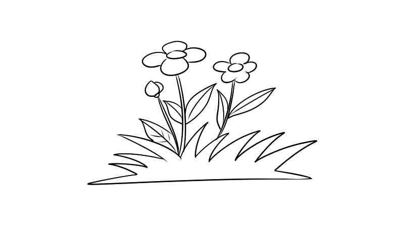 花草简笔画教程(如何画好花骨朵的枝叶)