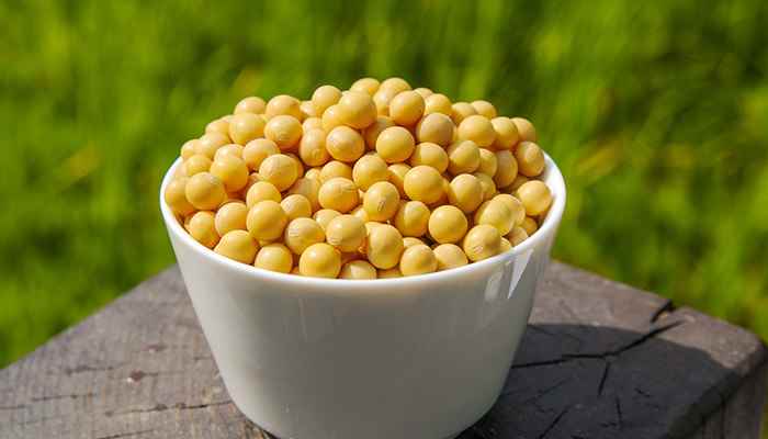 佳木斯特产(佳木斯大豆在品质上绝对是最好的)