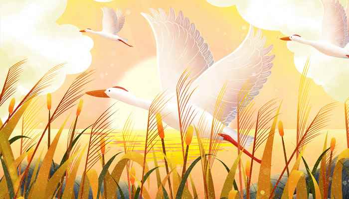 大乐赋白行简翻译(白行简的《大乐赋》的选节翻译)