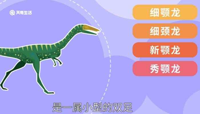 世界上最小的恐龙(美颌龙的身体结构十分适合奔跑)