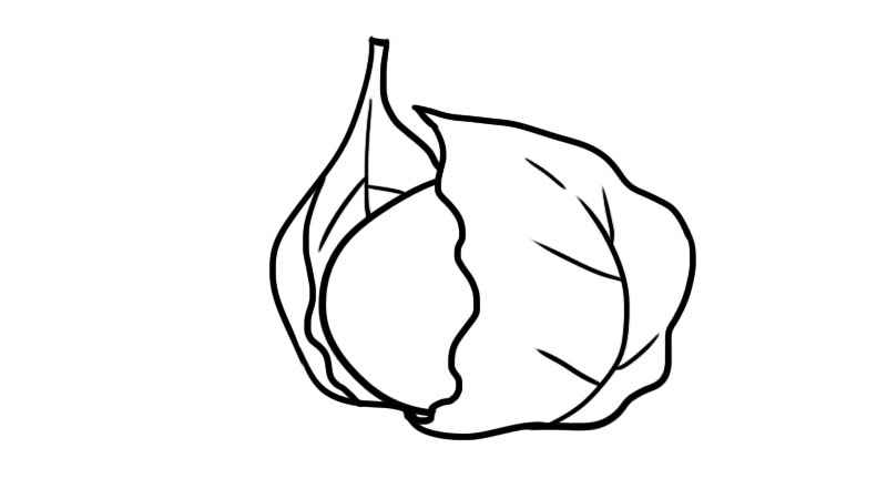 寒食节青团简笔画(寒食节吃青团的寓意)