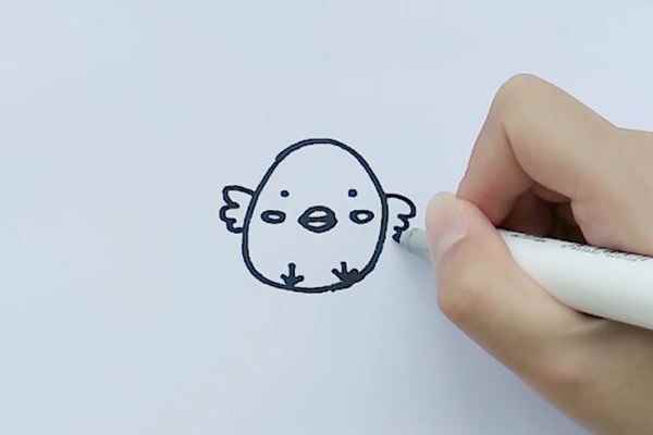 小鸡简笔画(画小鸡的身体轮廓有哪些)