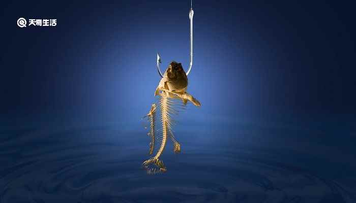 授之以鱼不如授之以渔的理解 授人以鱼不如授人以渔的意思