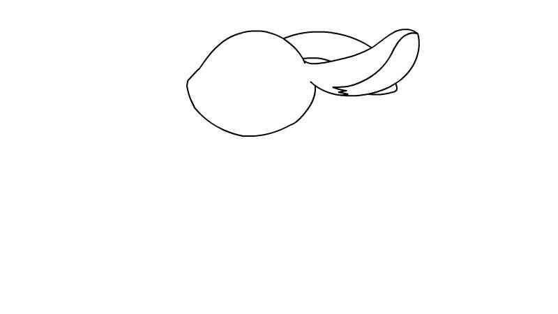 兔子简笔画彩色(先画出兔子的头部和耳朵)