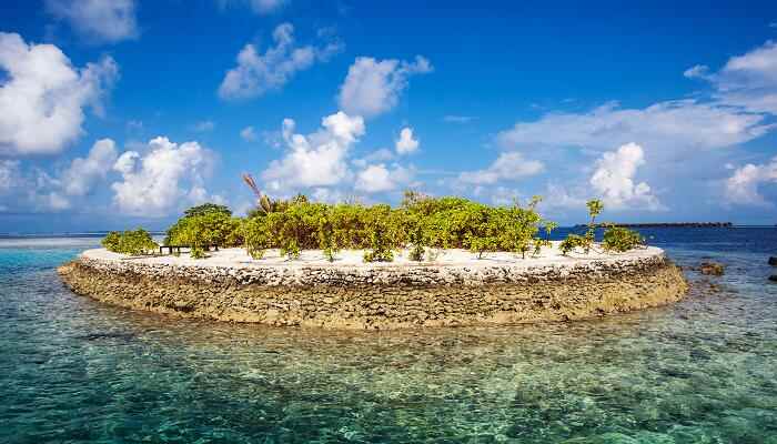 鲁滨逊漂流记中心思想(《鲁滨逊漂流记》的启示)