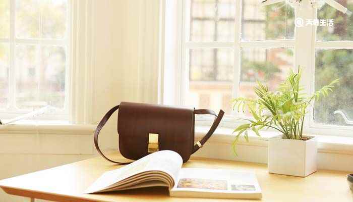 peco是什么牌子(PECO是中国独立设计师原创手袋品牌)