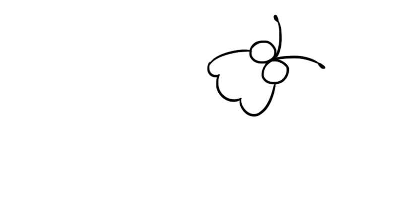 飞蛾简笔画(画出飞蛾的眼睛、触角。)