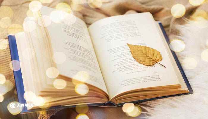 简爱第一章主要内容(《简爱》人物介绍)