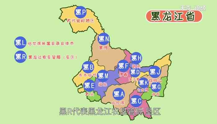 黑是哪里的车牌(黑龙江省汽车管理所代号)