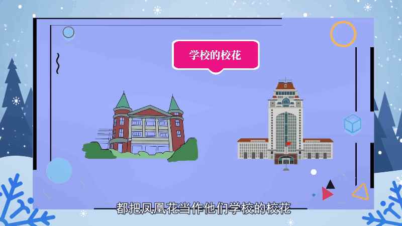 凤凰花花语(凤凰木因鲜红或橙色的花朵配合鲜绿色的羽状复叶)