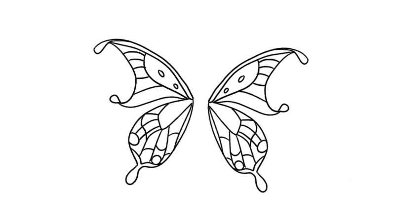 蝴蝶翅膀简笔画(蝴蝶翅膀的一小部分画法)