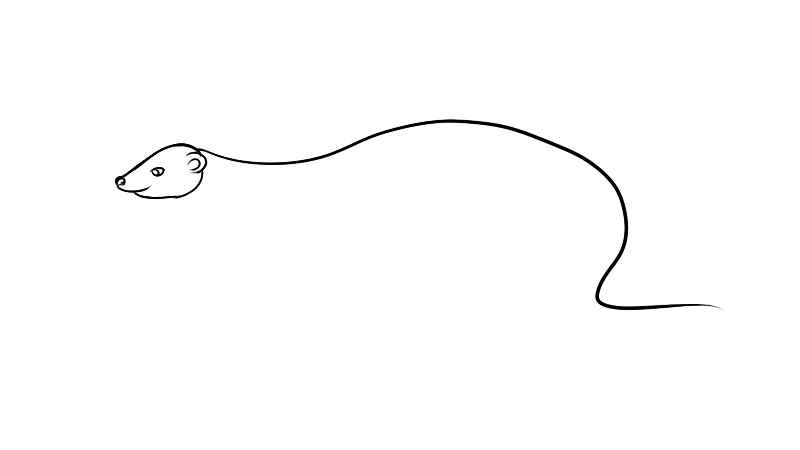 红颊獴简笔画(如何画出红颊獴的头部)