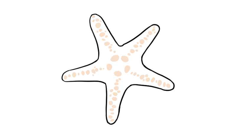 海星简笔画(海星简笔画涂色)