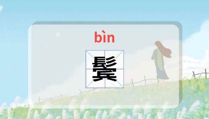 鬓怎么读 鬓的读音怎么读