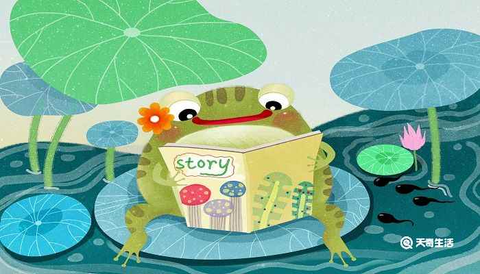 柳林风声主要内容(柳林风声人物介绍)