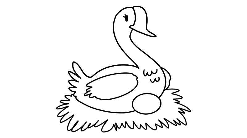 鹅简笔画(鹅的身体怎么画才好看)