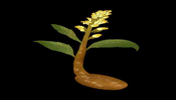 张仲景的著作 张仲景的著作有哪些