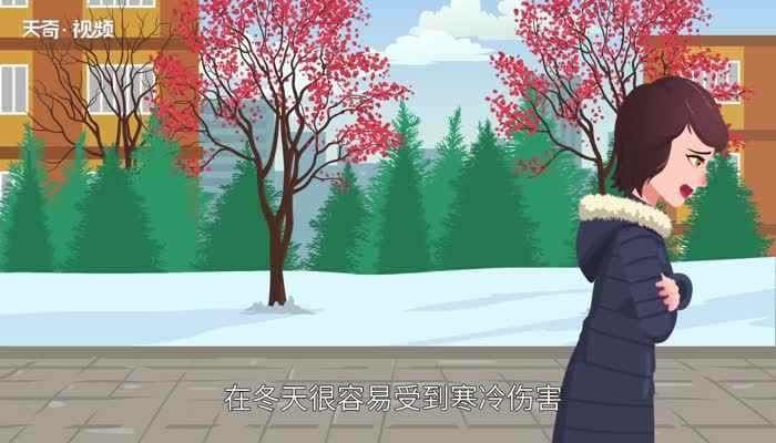 冬月是农历几月份(冬月养生保健要注意几个方面)