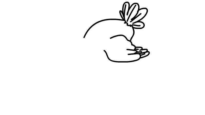 鸵鸟简笔画 鸵鸟简笔画怎么画