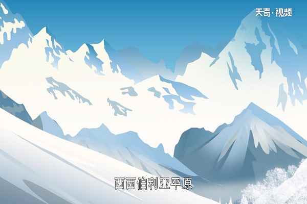 面积最大的国家(俄罗斯地形以平原和高原为主)