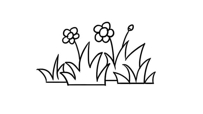 草丛简笔画(草丛的画法)