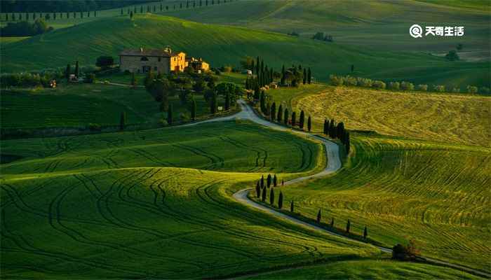 绿野仙踪的主要内容:讲述了一个来自堪萨斯州的善良的小姑娘