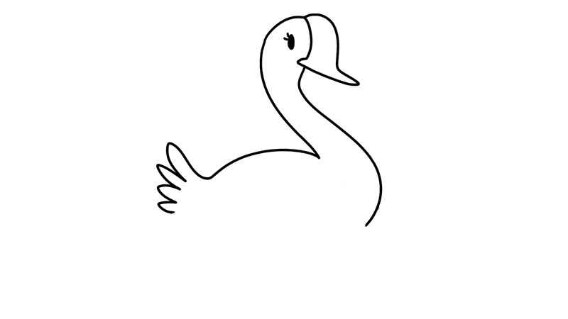 鹅简笔画(鹅的身体怎么画才好看)