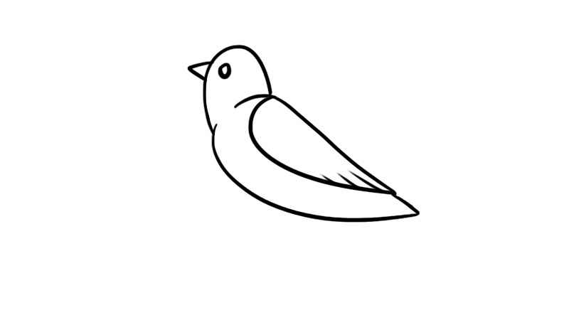 白鸽简笔画(白鸽简笔画简单又好看)