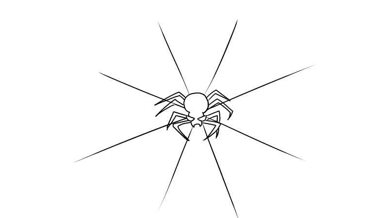 蜘蛛网简笔画(如何画出蜘蛛网的网状部分)