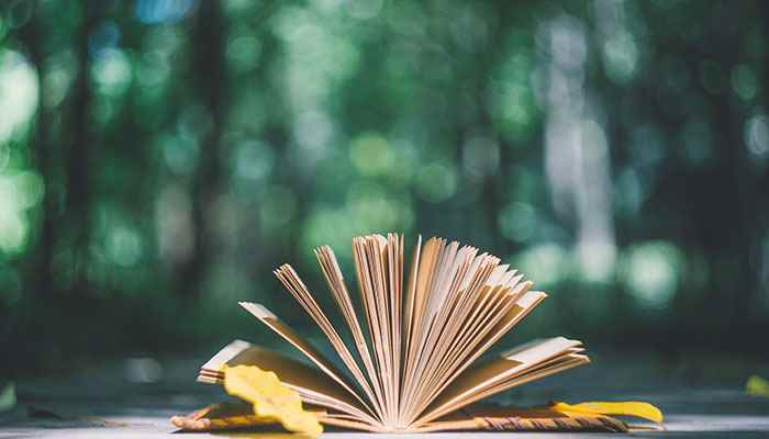 爱屋及乌是什么意思(爱屋及乌的故事)