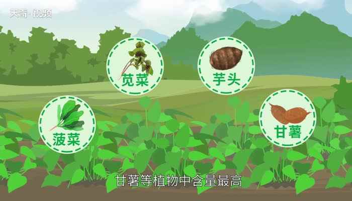 草酸的作用(草酸是生物体的一种代谢产物)