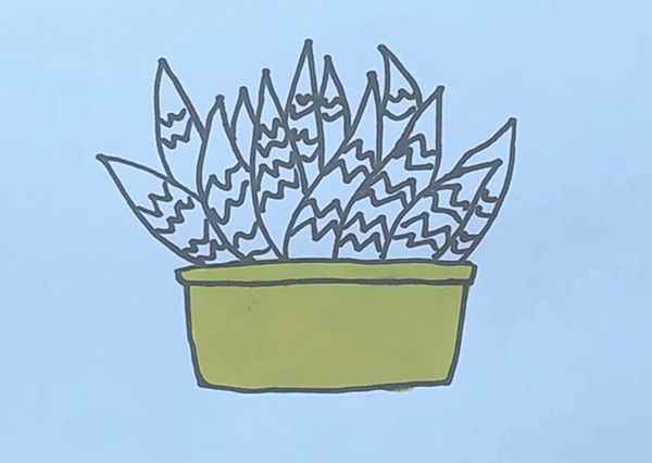 芦荟简笔画(芦荟怎么涂才好看花盆涂满)