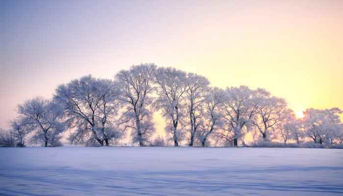 半湿润区和半干旱区的分界线是什么(半湿润区和半干旱区的分界线是400毫米等降水量线)