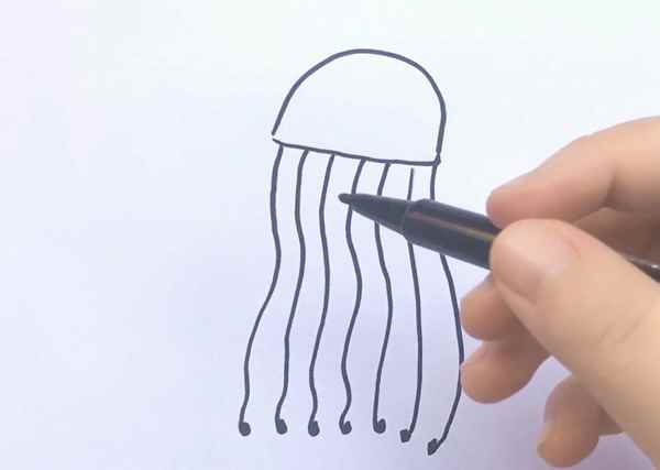 水母简笔画(水母简笔画有颜色)