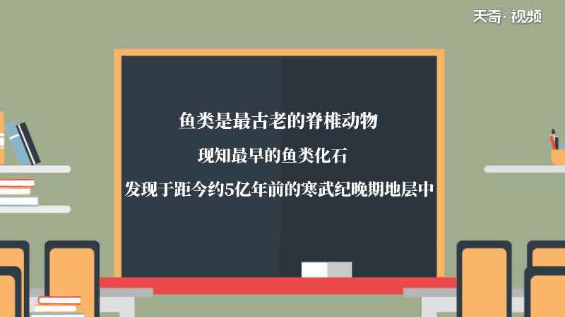 鱼的记忆力真的只有七秒吗 鱼的记忆力只有七秒吗