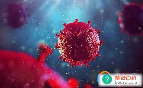 xbb病毒会不会导致二次感染(xbb1)