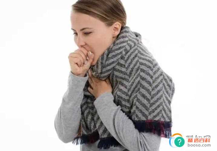 XBB毒株致病性如何(Xbb1)