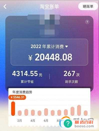 淘宝2022年度账单在哪看