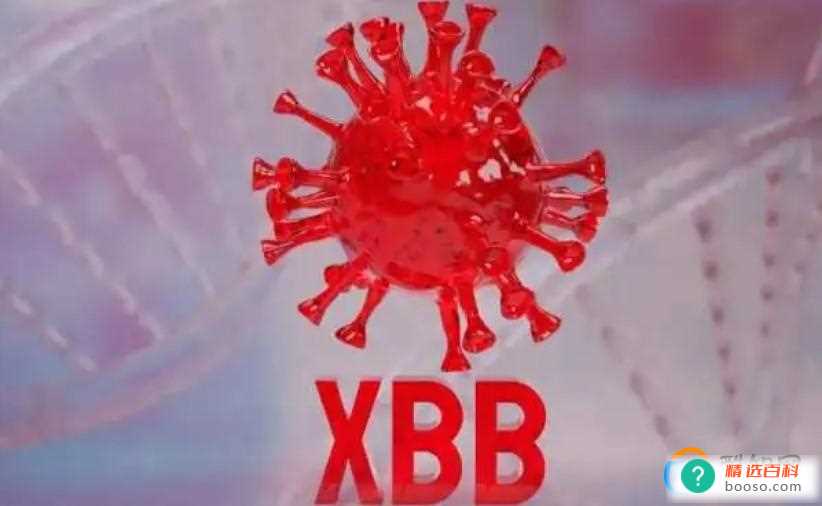 阳康后是不是会再次感染XBB(xbb1)