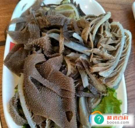 涮火锅常吃的牛百叶,是牛的什么部位